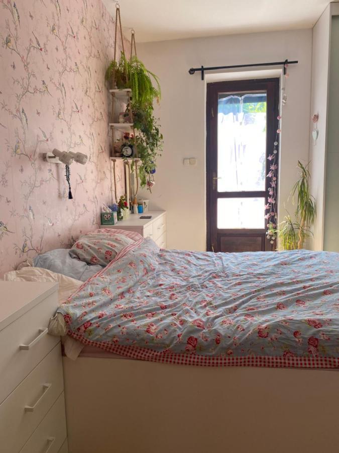 Zielone Zarabie Residence Myślenice Dış mekan fotoğraf
