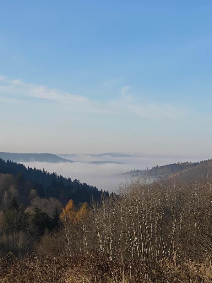 Zielone Zarabie Residence Myślenice Dış mekan fotoğraf